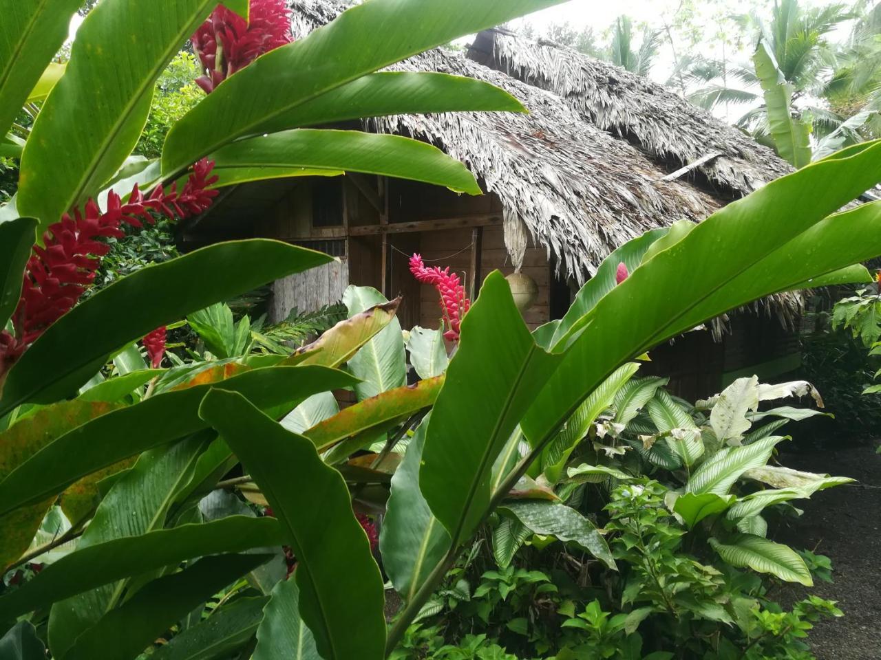 Posada Villamaga El Valle  Eksteriør billede